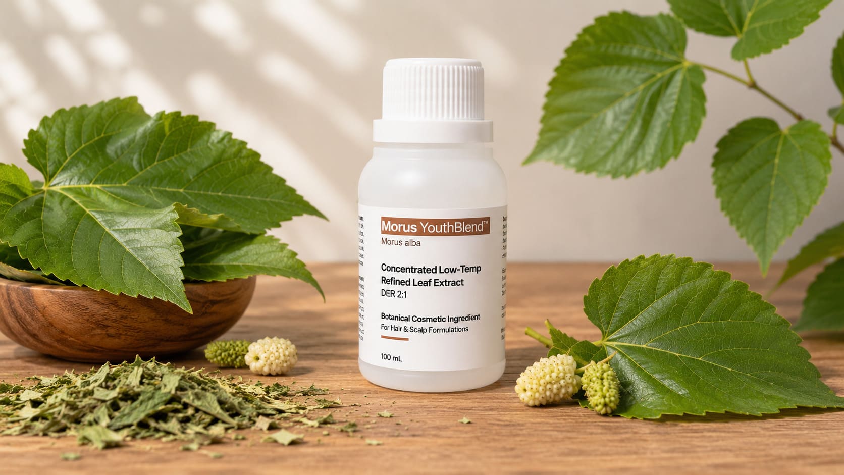 Morus YouthBlend™ — refined botanical active for anti-aging scalp